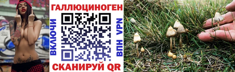 Псилоцибиновые грибы GOLDEN TEACHER  Купить закладки  Волчанск 